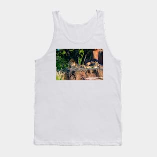 Pride of Lions Tank Top